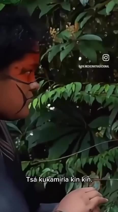 Cena do vídeo de apresentação do curso: A-yá de perfil, com pintura facial, entre as folhas da mata